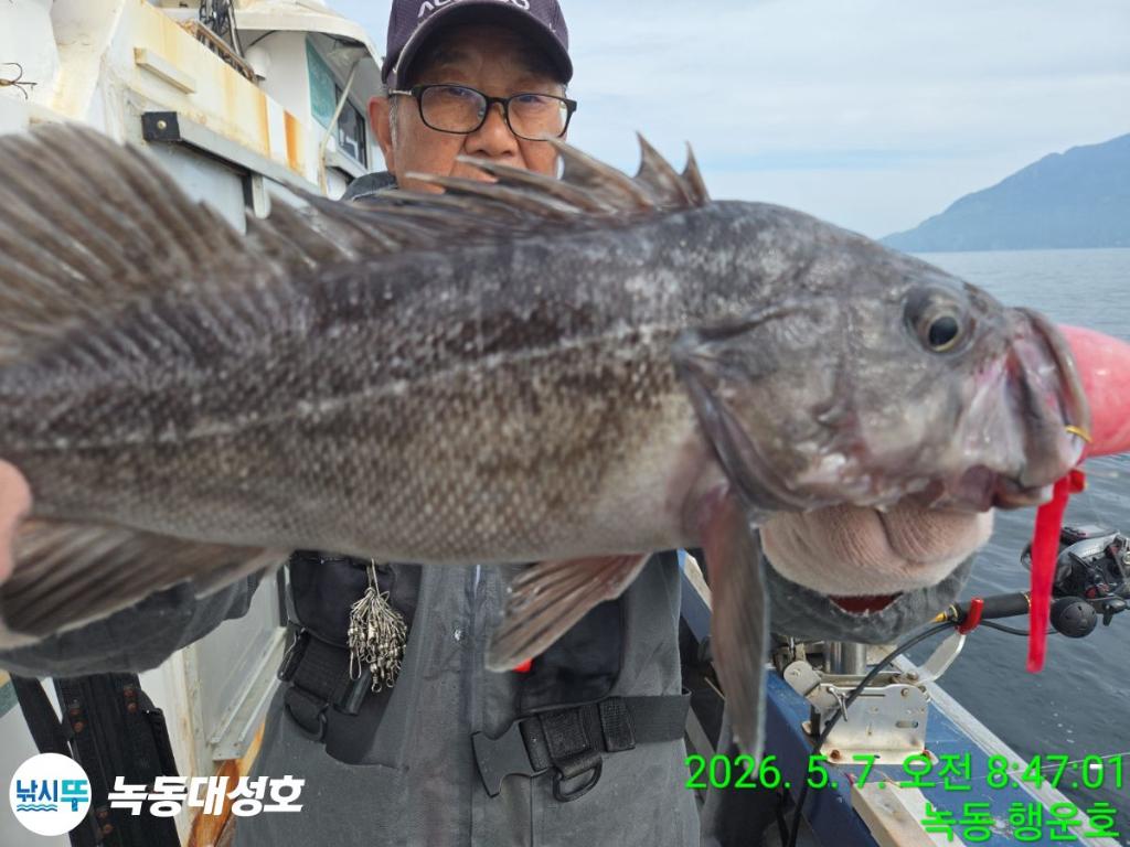 낚시뚜,우럭,열기,녹동항,녹동대성호,낚시뚜2