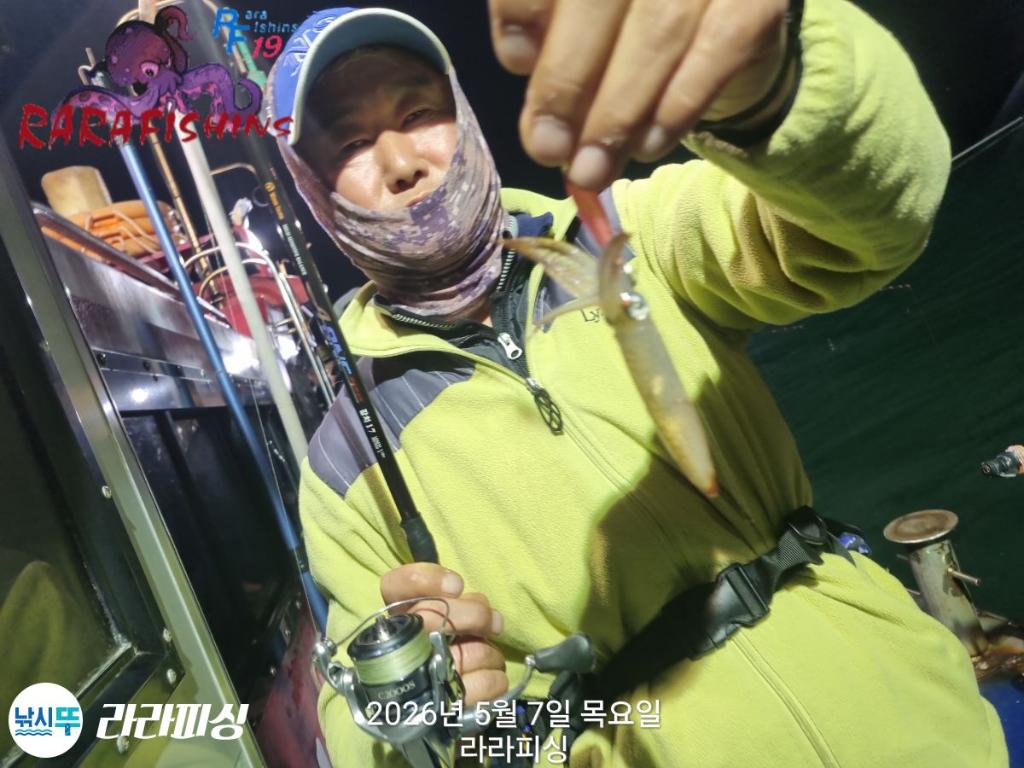 낚시뚜,호래기,돌문어,속천항(진해),라라피싱,낚시뚜7