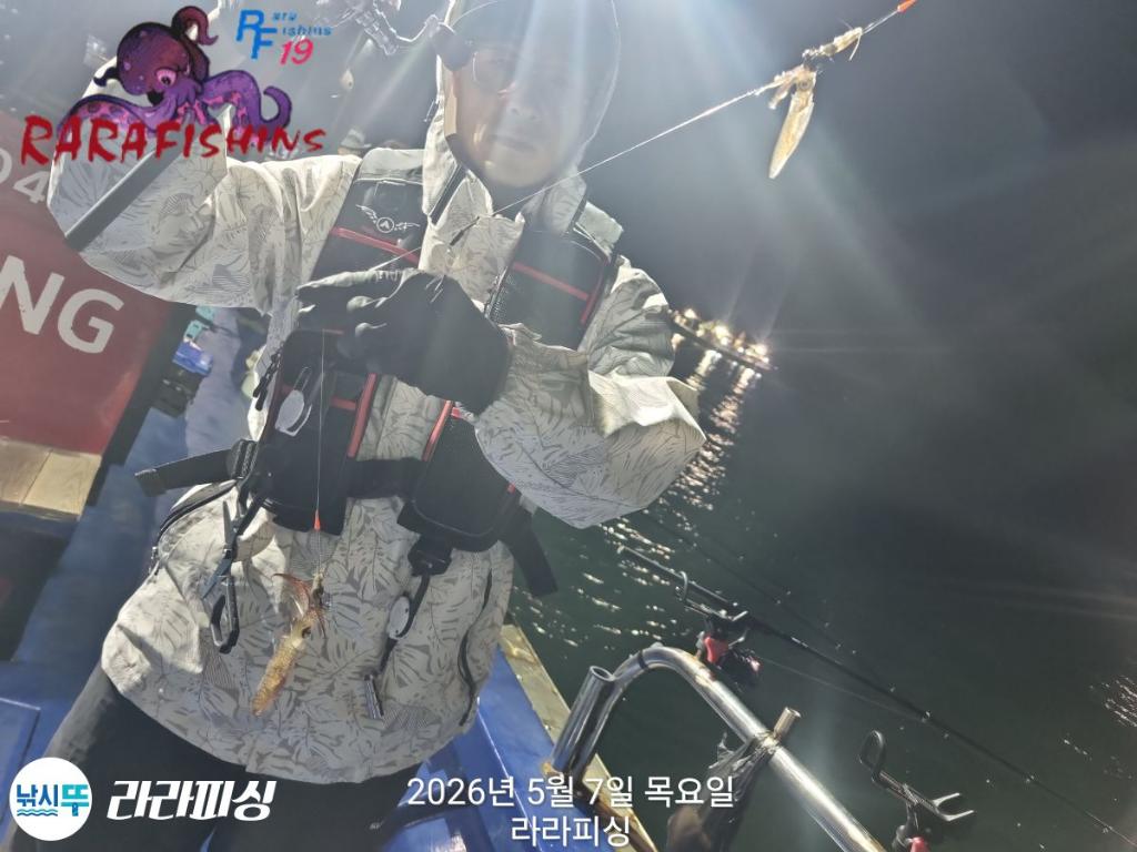 낚시뚜,호래기,돌문어,속천항(진해),라라피싱,낚시뚜3