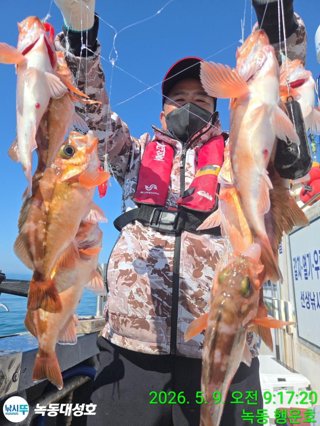 낚시뚜,열기,우럭,녹동항,녹동대성호,낚시뚜13