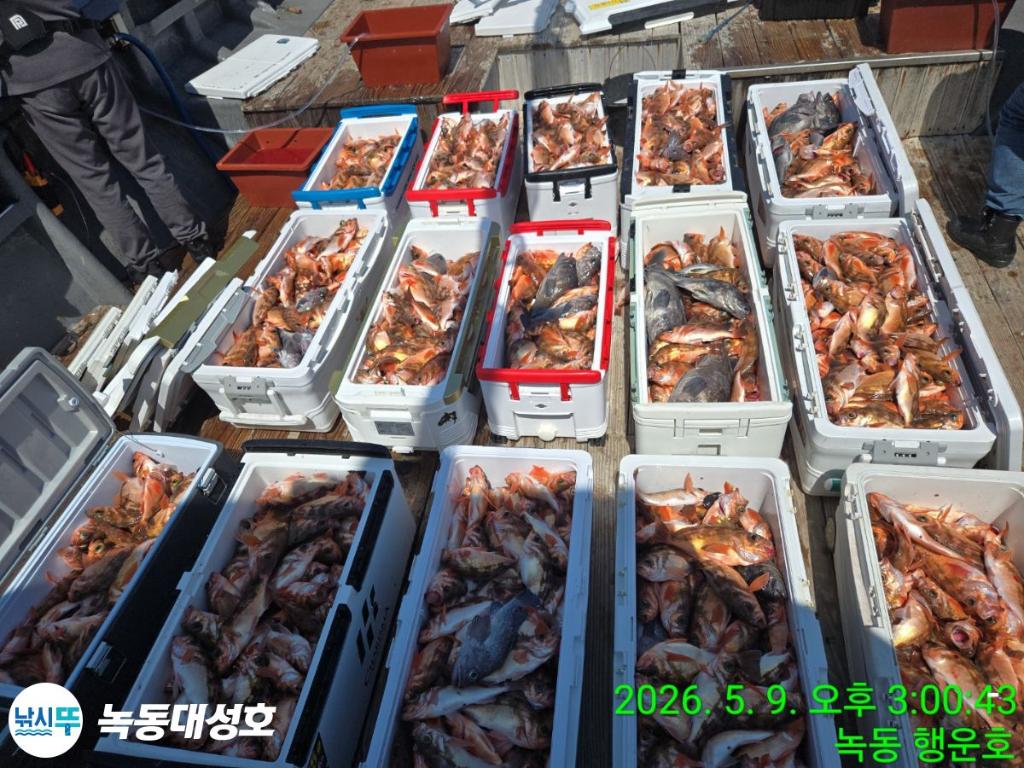 낚시뚜,열기,우럭,녹동항,녹동대성호,낚시뚜4