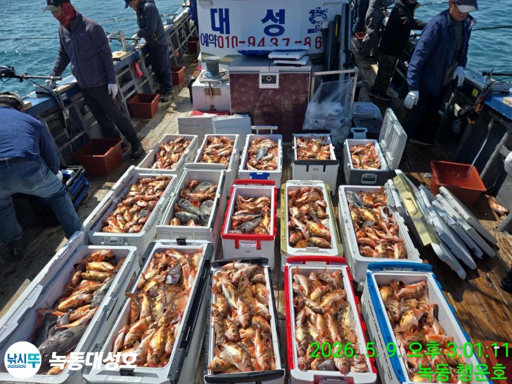 낚시뚜,열기,우럭,녹동항,녹동대성호,낚시뚜0