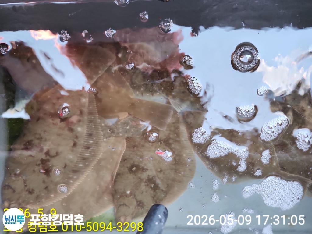 낚시뚜,도다리,영일만항,포항 킹덤호,낚시뚜56