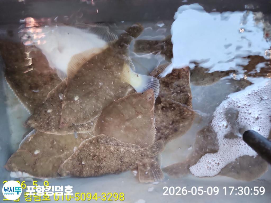 낚시뚜,도다리,영일만항,포항 킹덤호,낚시뚜55
