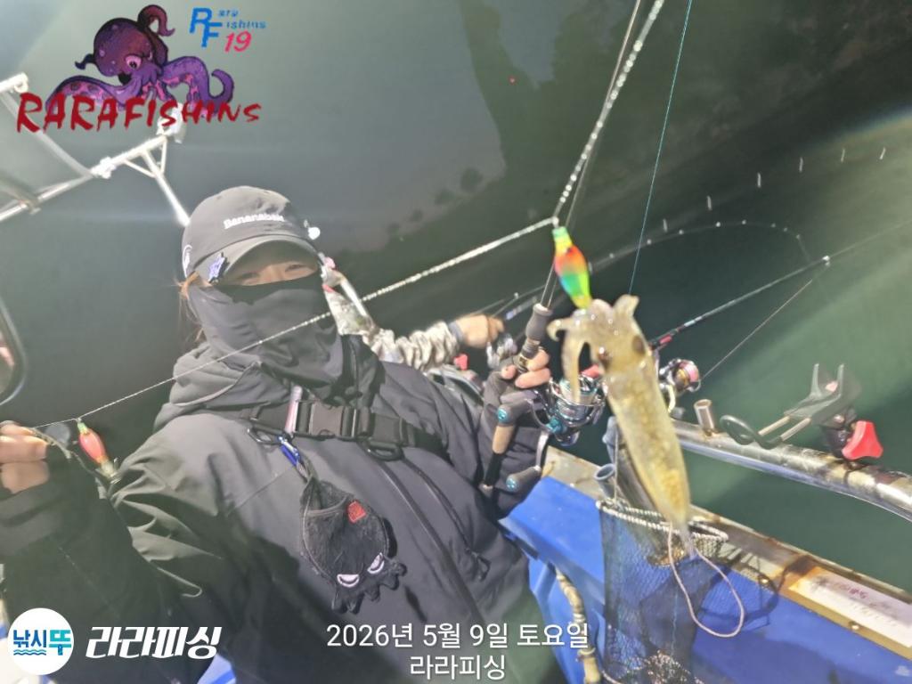 낚시뚜,호래기,속천항(진해),라라피싱,낚시뚜14