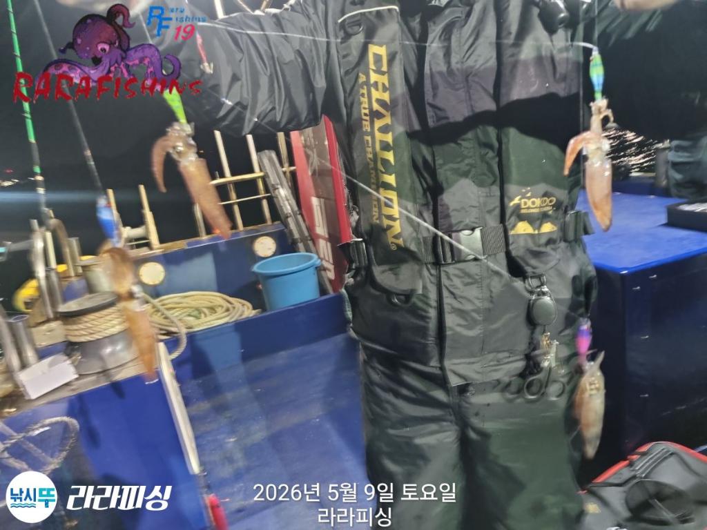 낚시뚜,호래기,속천항(진해),라라피싱,낚시뚜8
