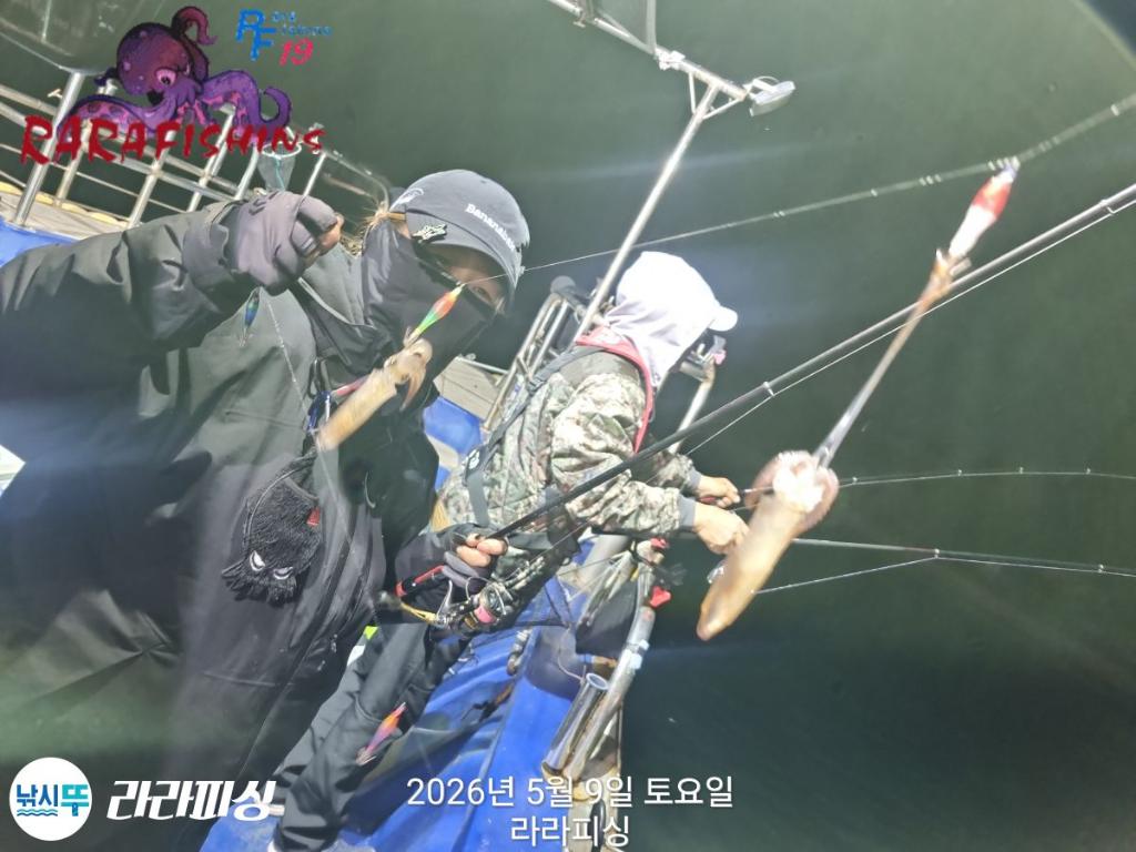 낚시뚜,호래기,속천항(진해),라라피싱,낚시뚜6