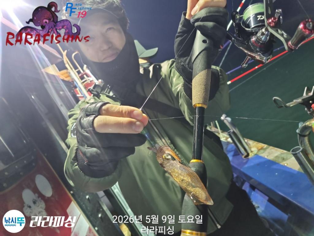 낚시뚜,호래기,속천항(진해),라라피싱,낚시뚜15