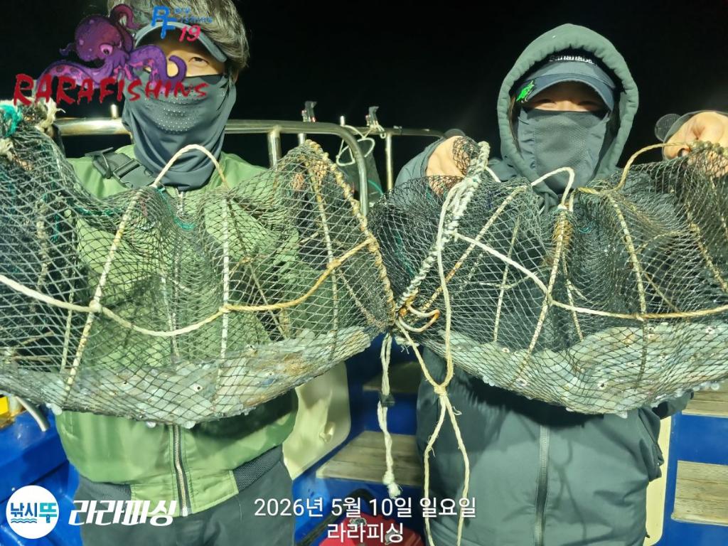 낚시뚜,호래기,속천항(진해),라라피싱,낚시뚜2