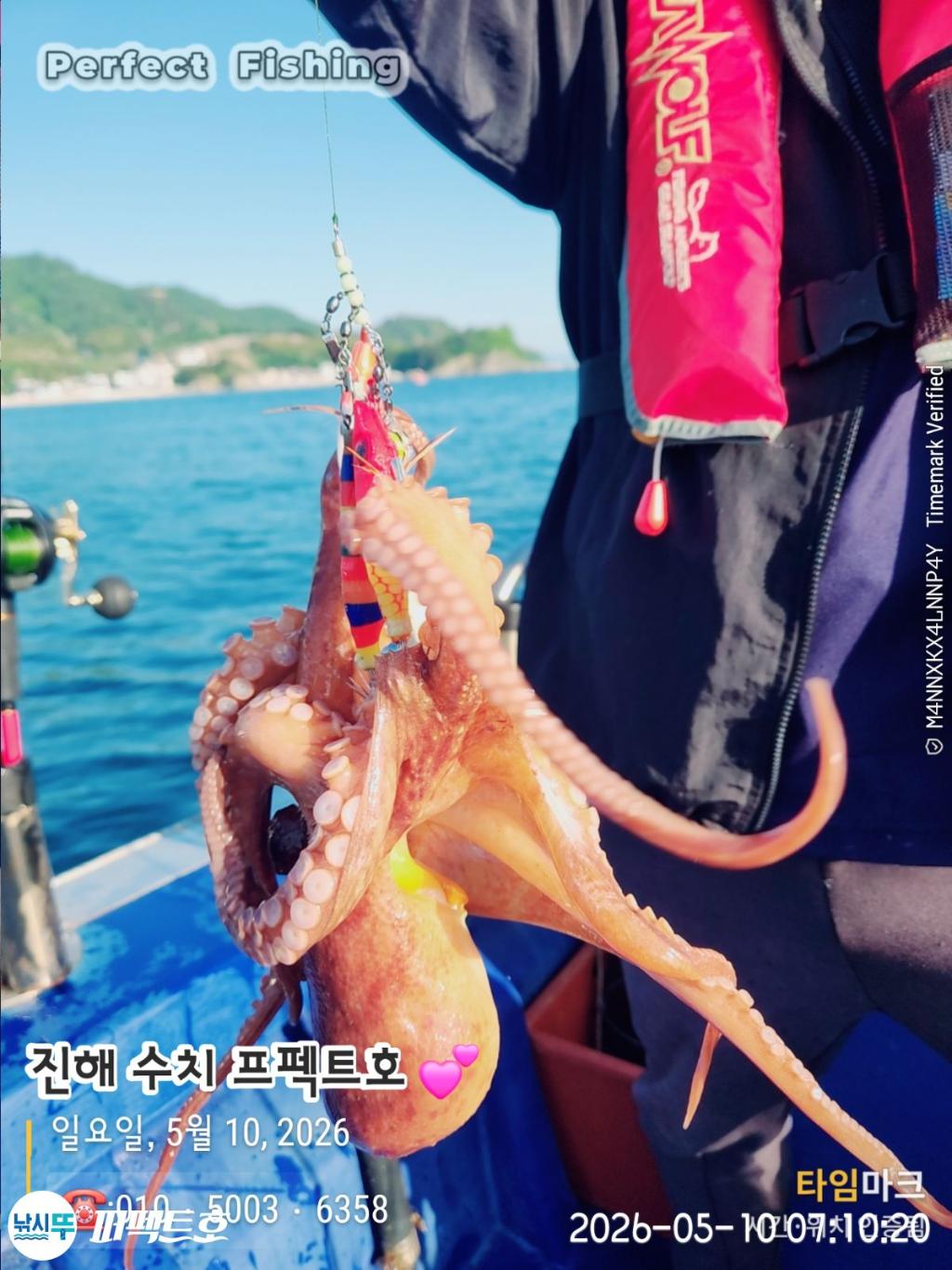 낚시뚜,돌문어,진해 수치마을 방파제,퍼펙트호,낚시뚜13