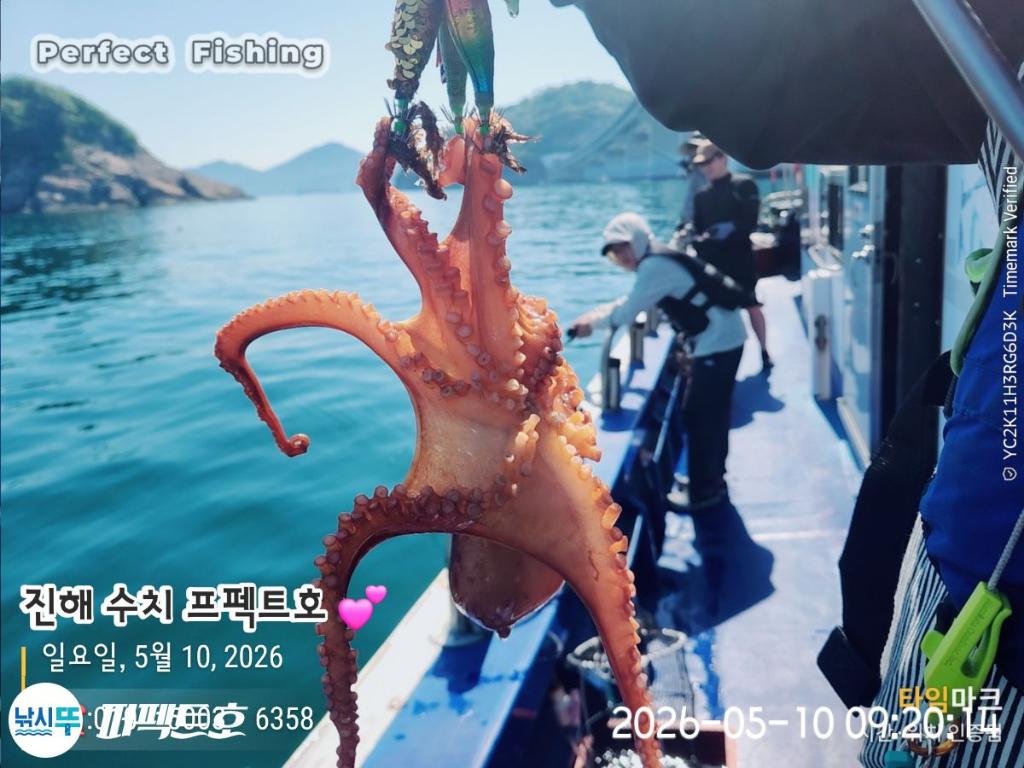 낚시뚜,돌문어,진해 수치마을 방파제,퍼펙트호,낚시뚜8