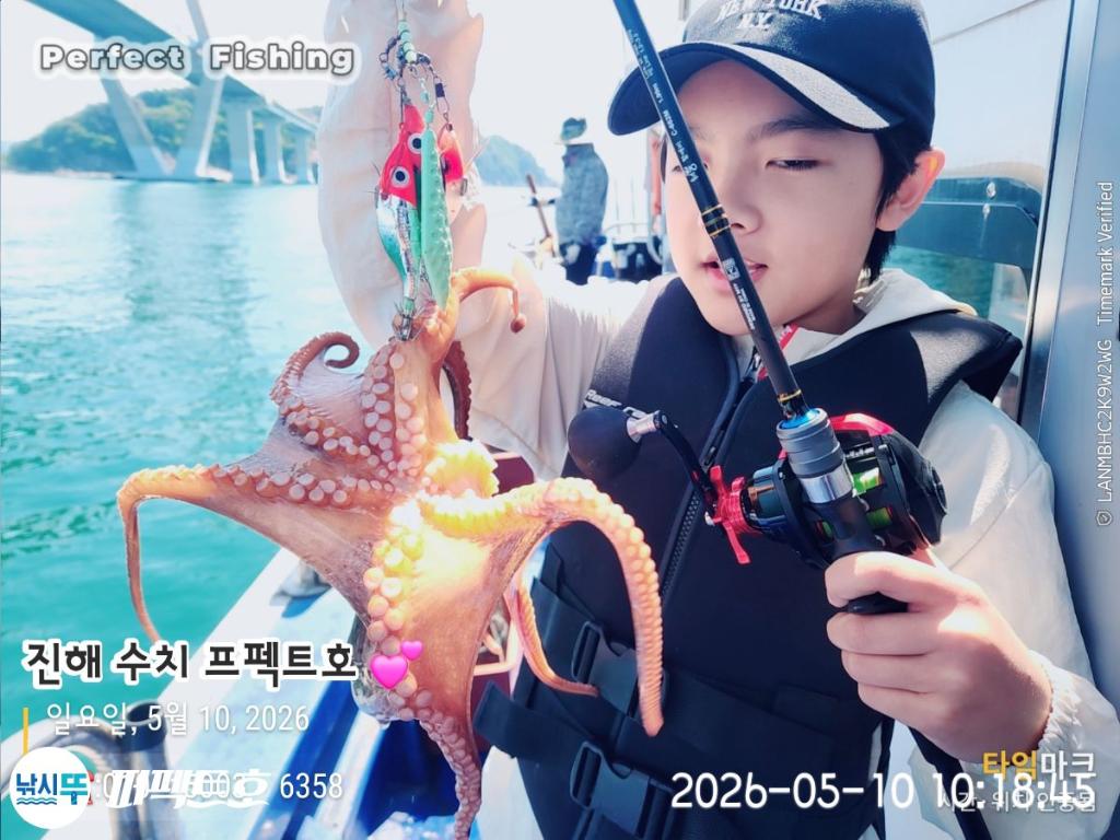 낚시뚜,돌문어,진해 수치마을 방파제,퍼펙트호,낚시뚜6