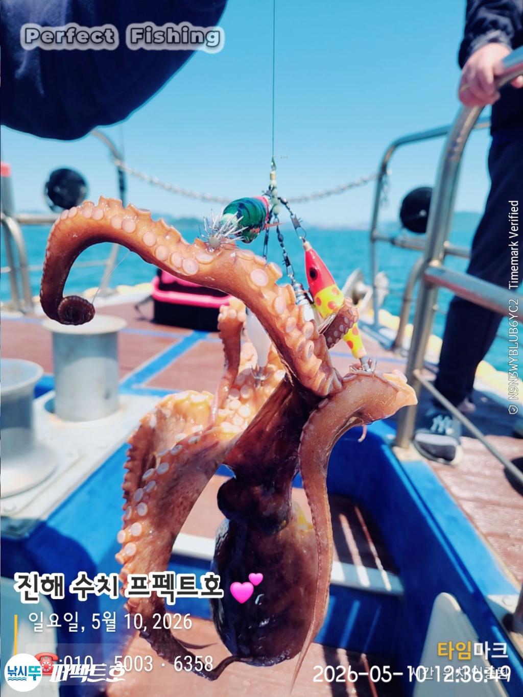 낚시뚜,돌문어,진해 수치마을 방파제,퍼펙트호,낚시뚜2