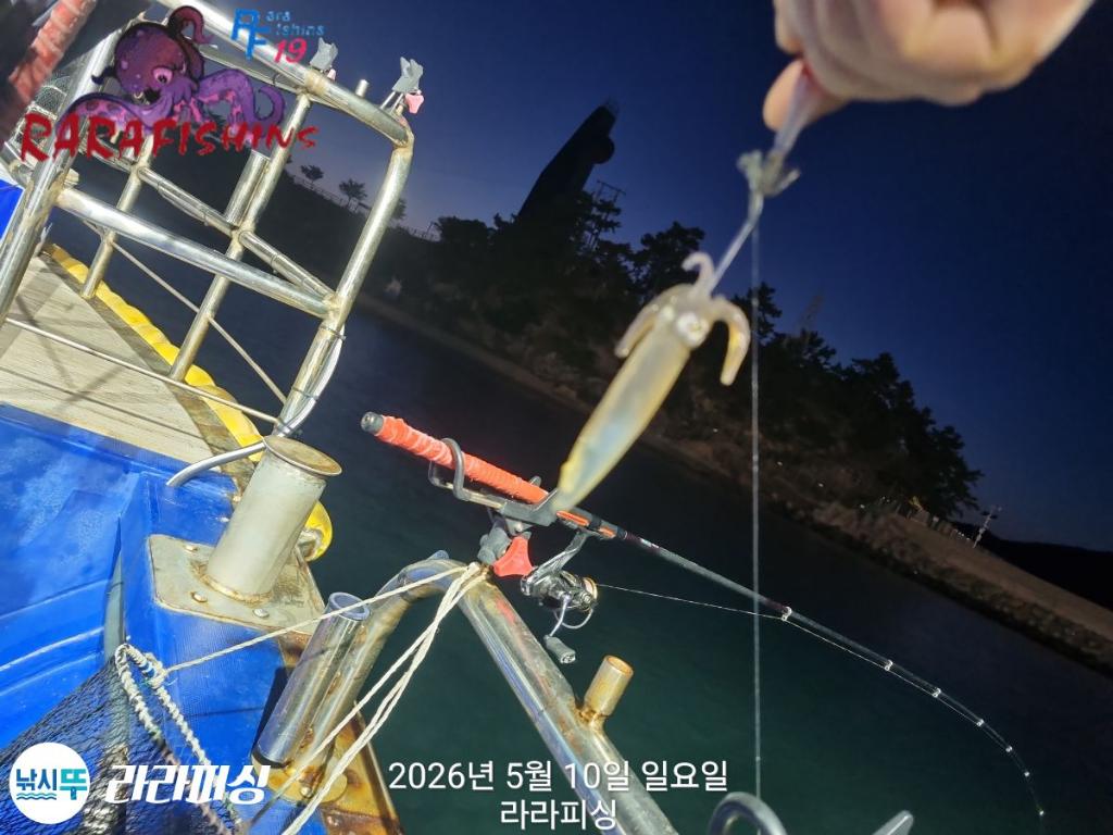 낚시뚜,호래기,속천항(진해),라라피싱,낚시뚜9
