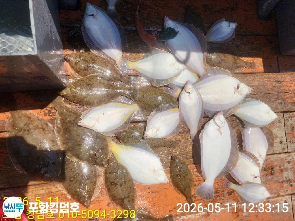 낚시뚜,도다리,영일만항,포항 킹덤호,낚시뚜28