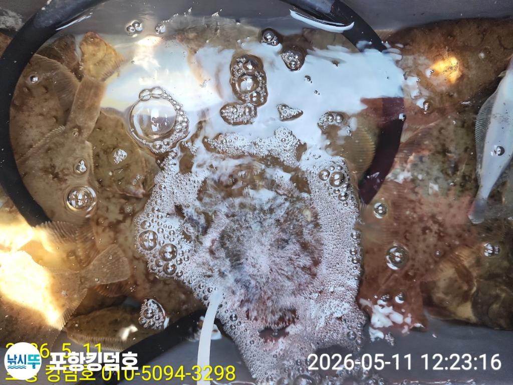 낚시뚜,도다리,영일만항,포항 킹덤호,낚시뚜21