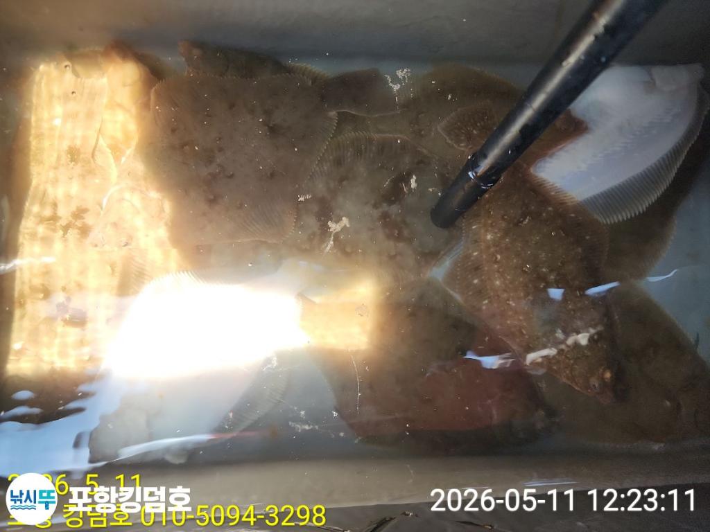 낚시뚜,도다리,영일만항,포항 킹덤호,낚시뚜20