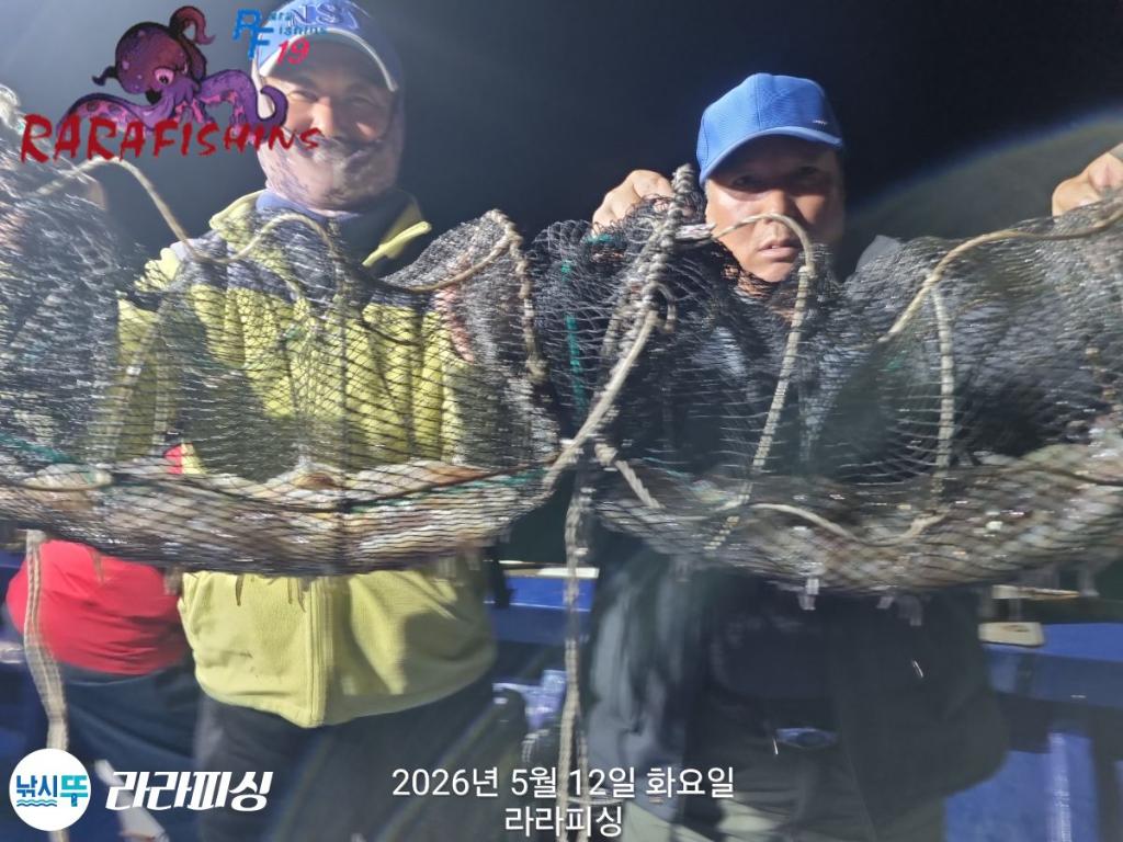 낚시뚜,호래기,속천항(진해),라라피싱,낚시뚜6