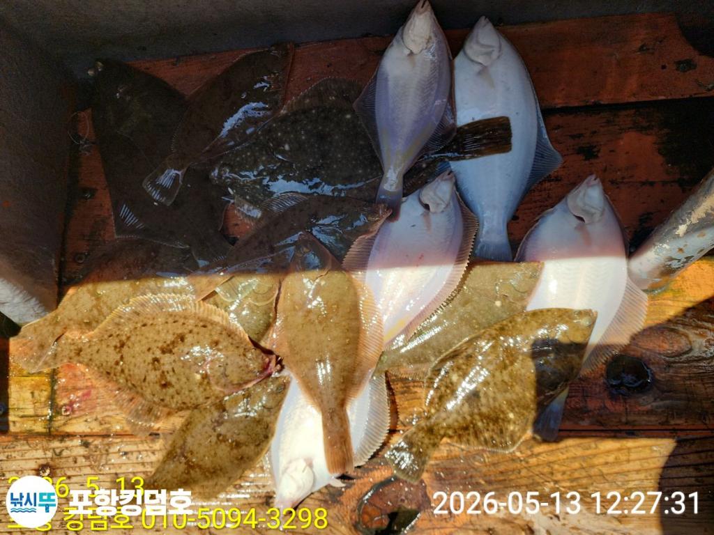 낚시뚜,도다리,영일만항,포항 킹덤호,낚시뚜54