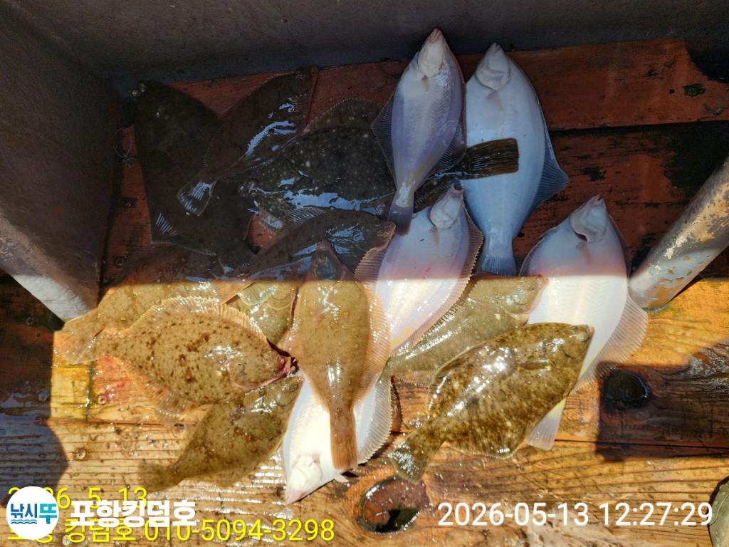 낚시뚜,도다리,영일만항,포항 킹덤호,낚시뚜53