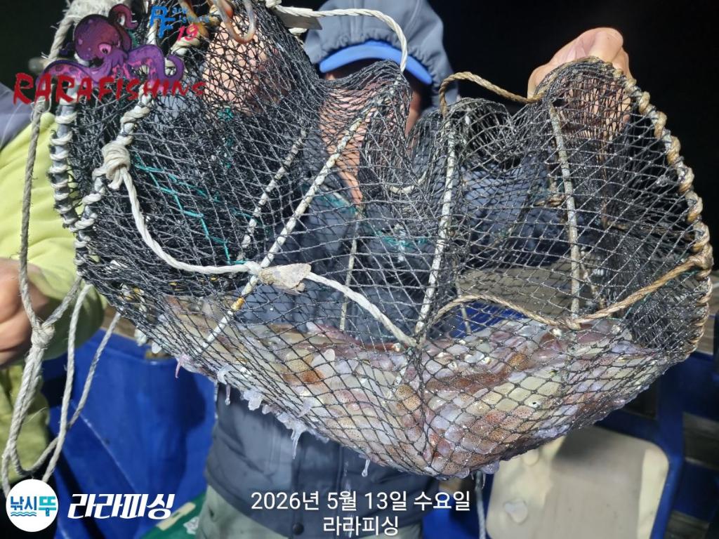 낚시뚜,호래기,속천항(진해),라라피싱,낚시뚜6