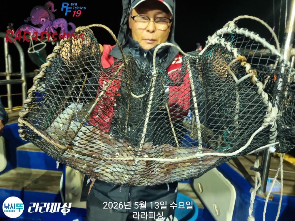낚시뚜,호래기,속천항(진해),라라피싱,낚시뚜5