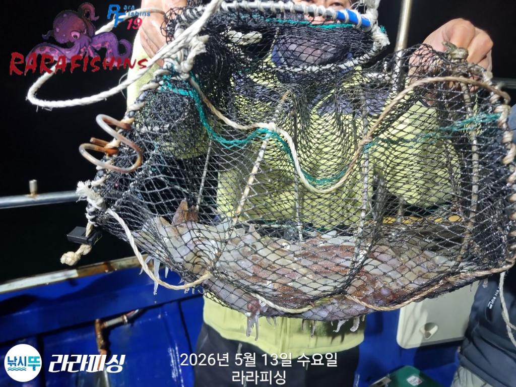 낚시뚜,호래기,속천항(진해),라라피싱,낚시뚜4