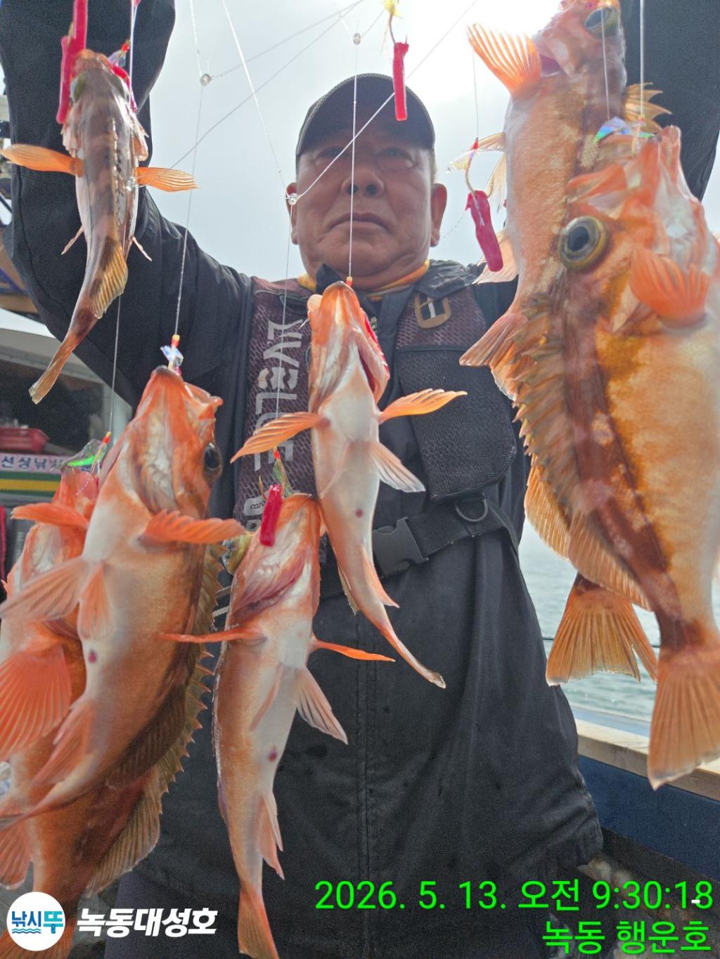 낚시뚜,열기,우럭,녹동항,녹동대성호,낚시뚜8