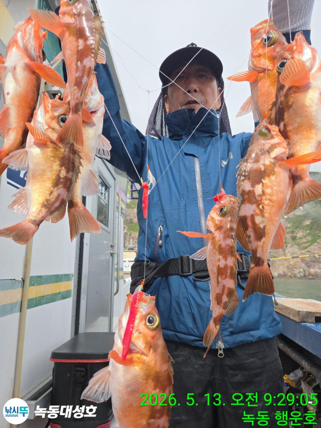 낚시뚜,열기,우럭,녹동항,녹동대성호,낚시뚜5