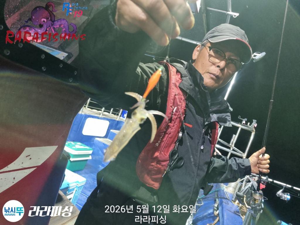 낚시뚜,호래기,속천항(진해),라라피싱,낚시뚜9