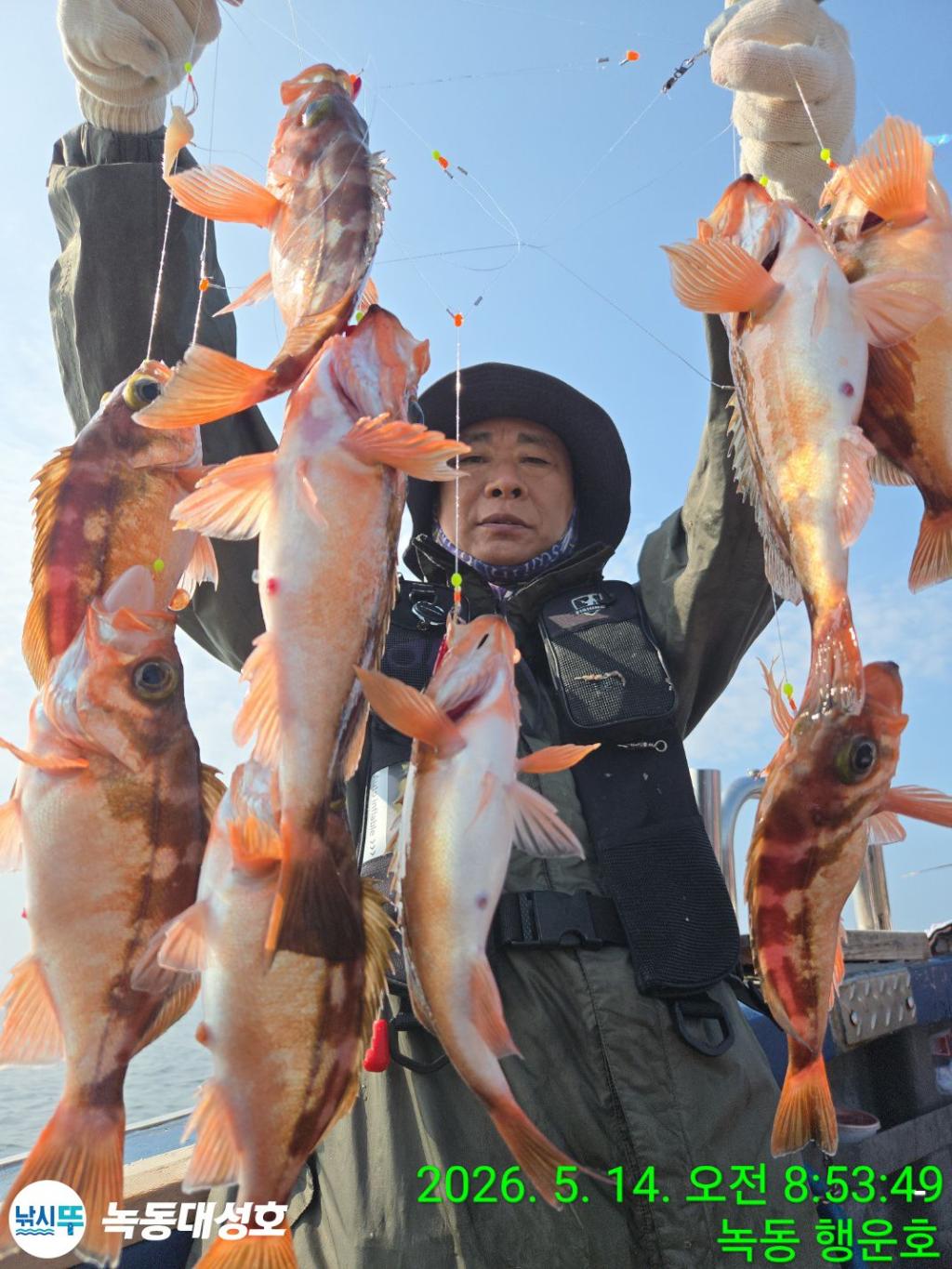 낚시뚜,우럭,열기,녹동항,녹동대성호,낚시뚜21