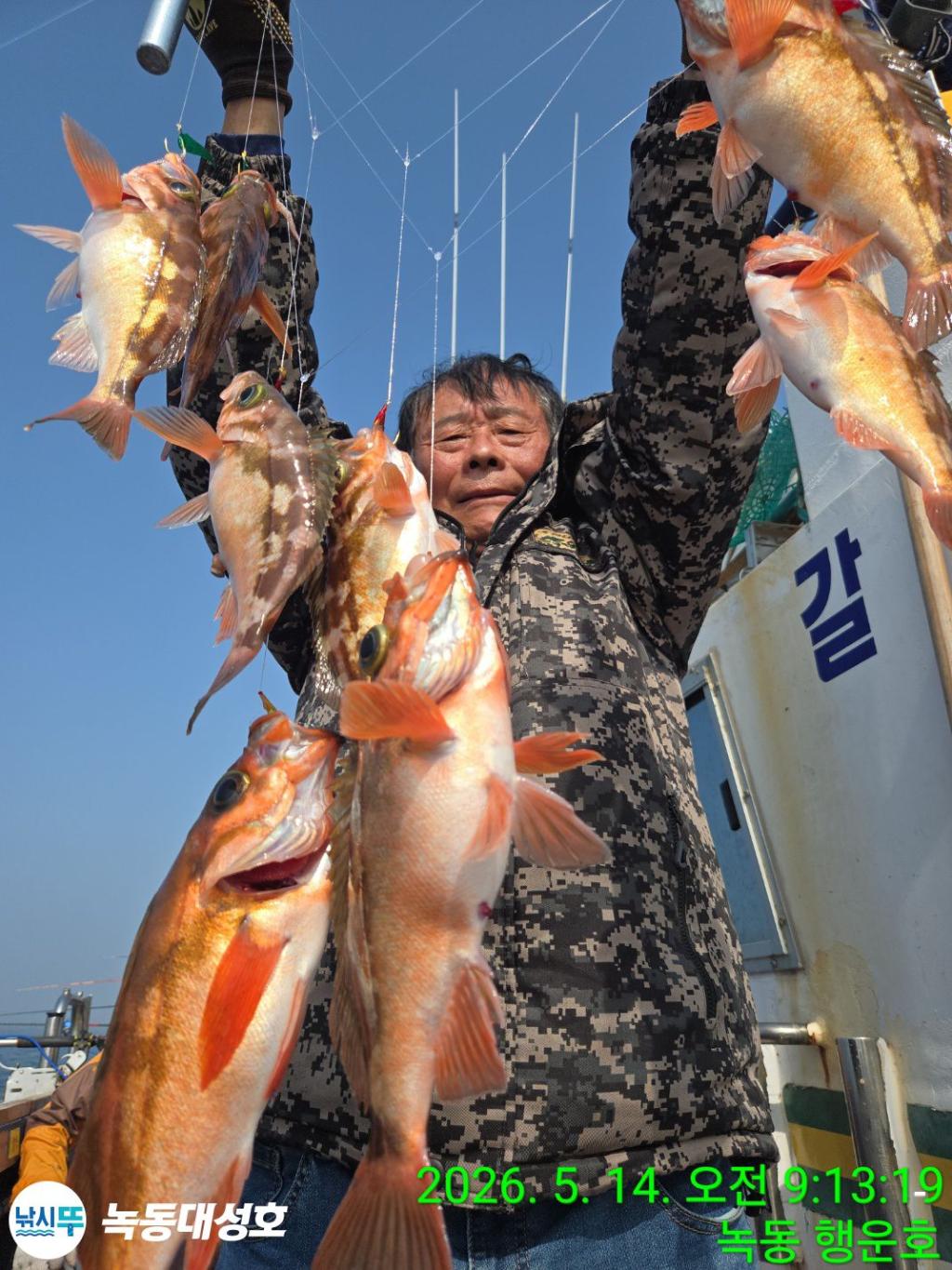 낚시뚜,우럭,열기,녹동항,녹동대성호,낚시뚜20