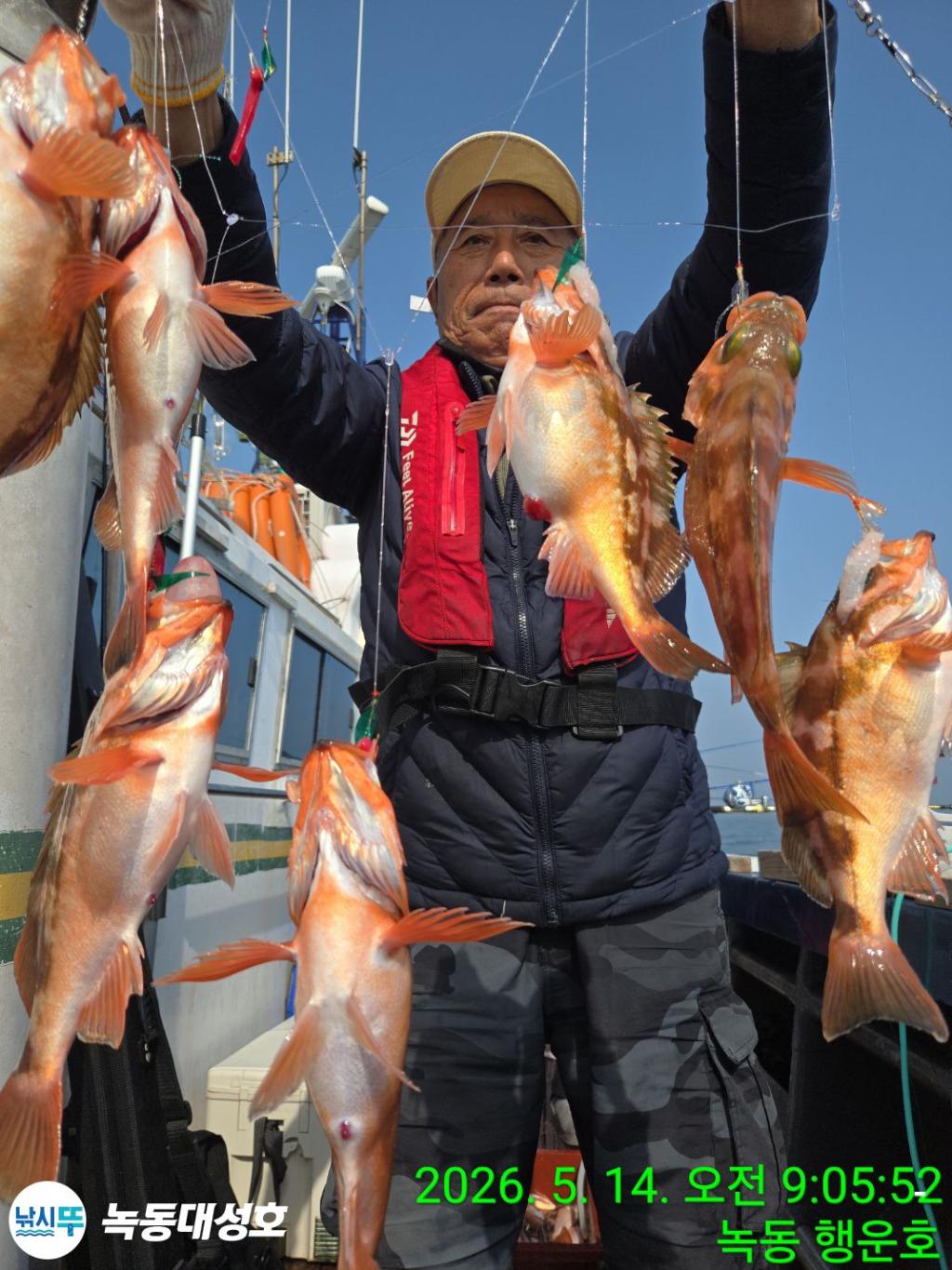 낚시뚜,우럭,열기,녹동항,녹동대성호,낚시뚜19