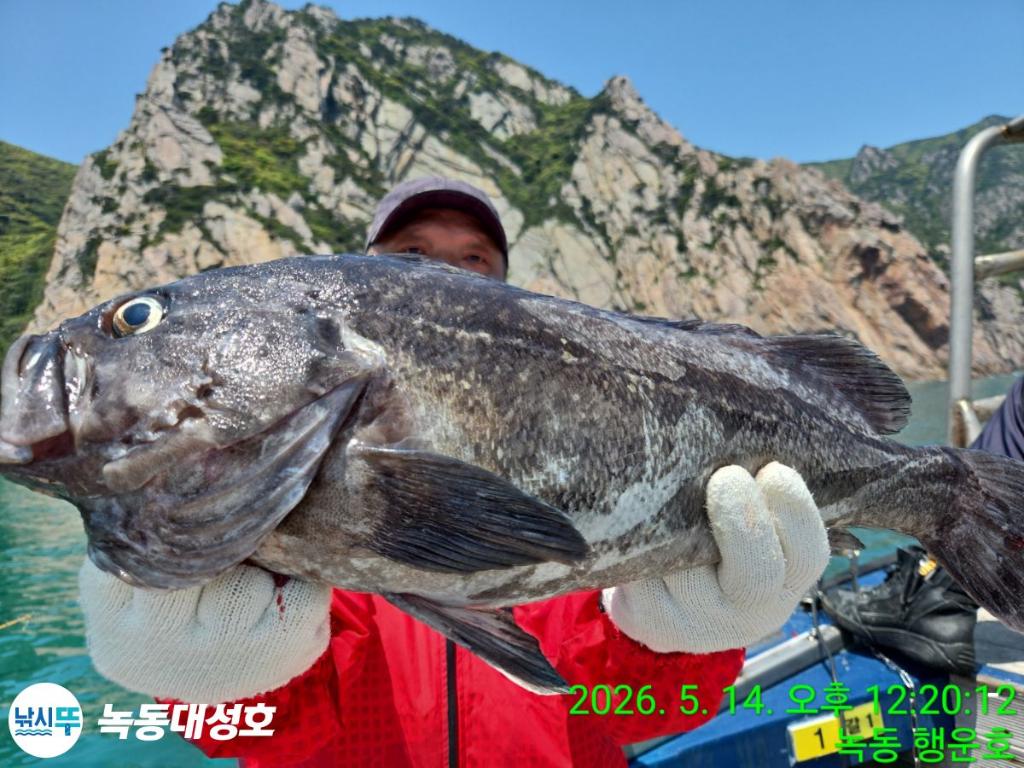 낚시뚜,우럭,열기,녹동항,녹동대성호,낚시뚜4