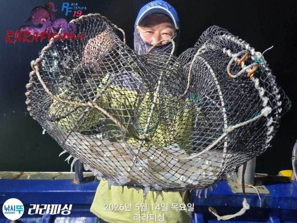낚시뚜,호래기,속천항(진해),라라피싱,낚시뚜9