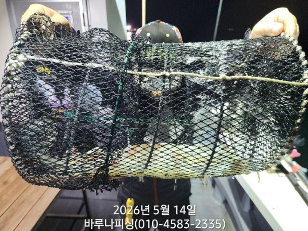 낚시뚜,호래기,속천항(진해),바루나피싱,낚시뚜5