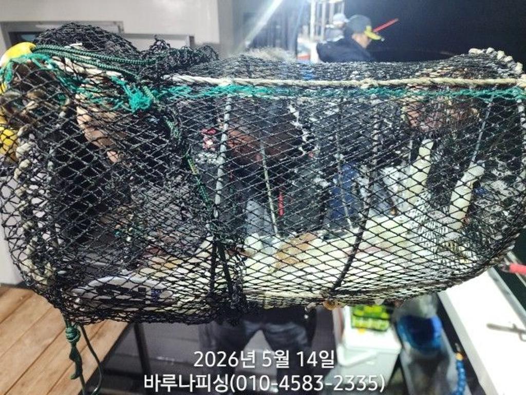 낚시뚜,호래기,속천항(진해),바루나피싱,낚시뚜4