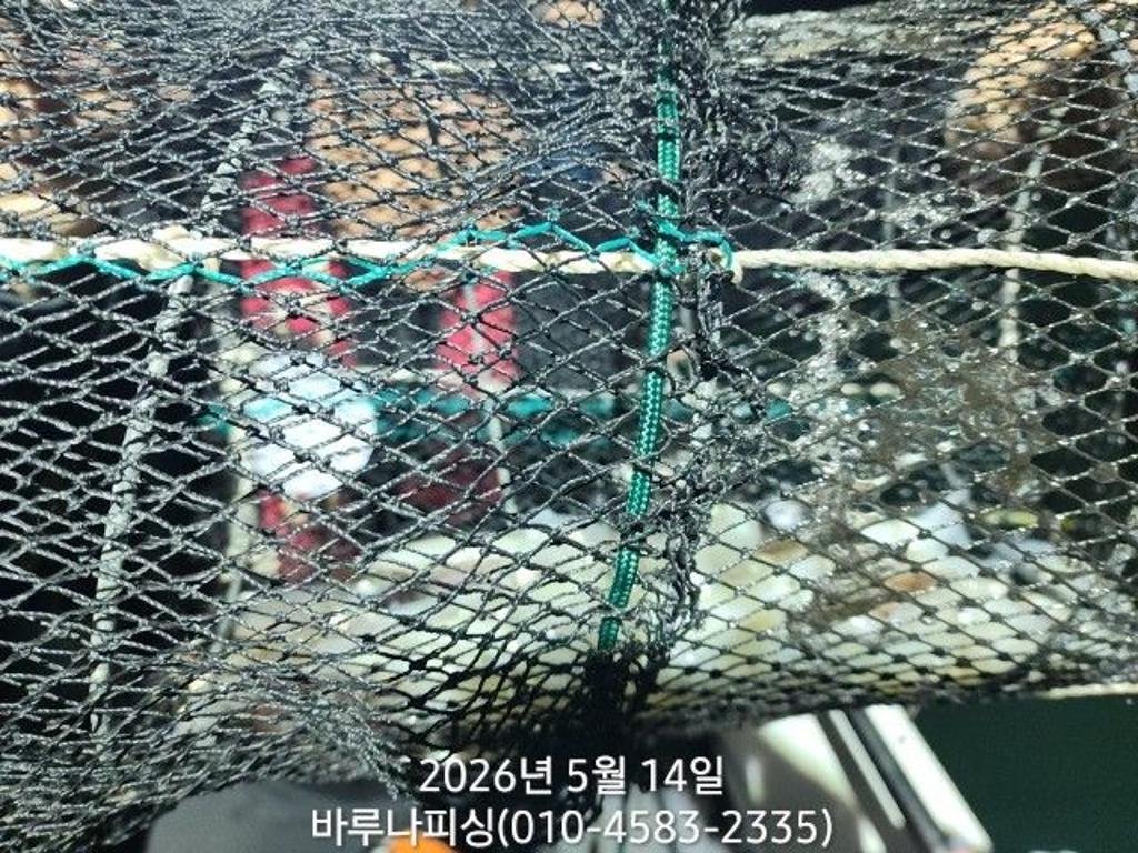 낚시뚜,호래기,속천항(진해),바루나피싱,낚시뚜3