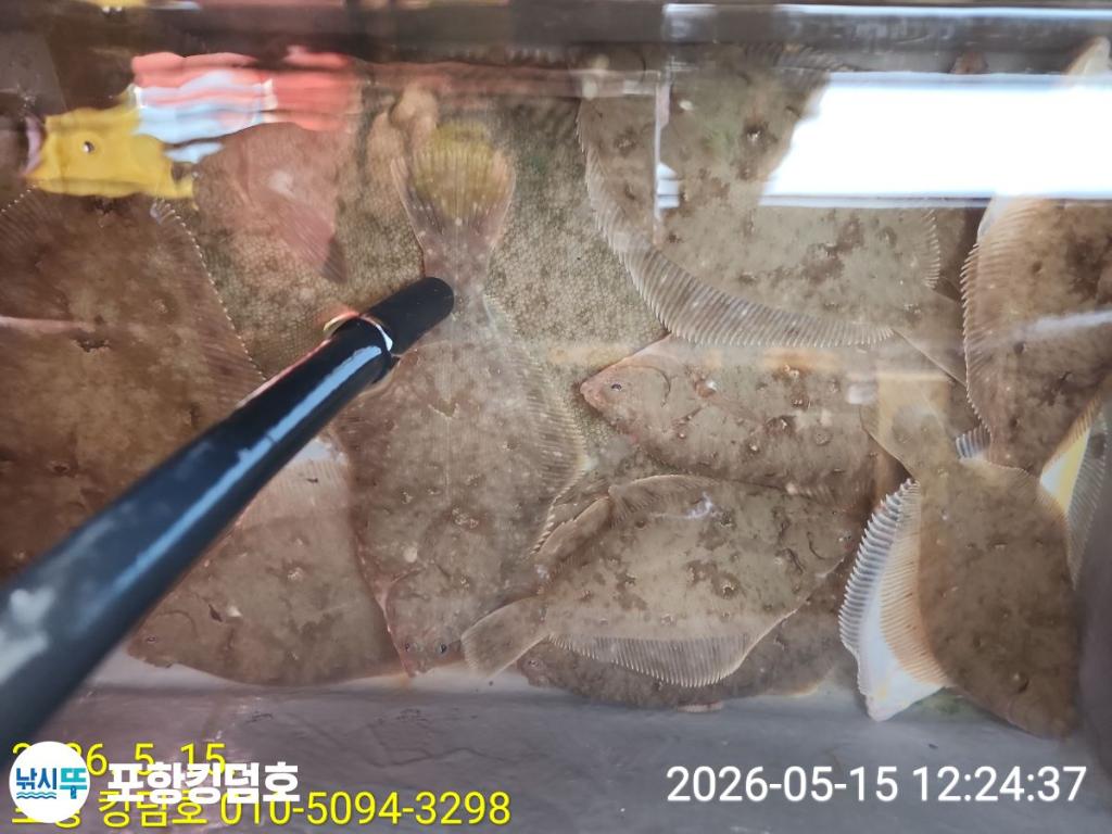 낚시뚜,도다리,영일만항,포항 킹덤호,낚시뚜21