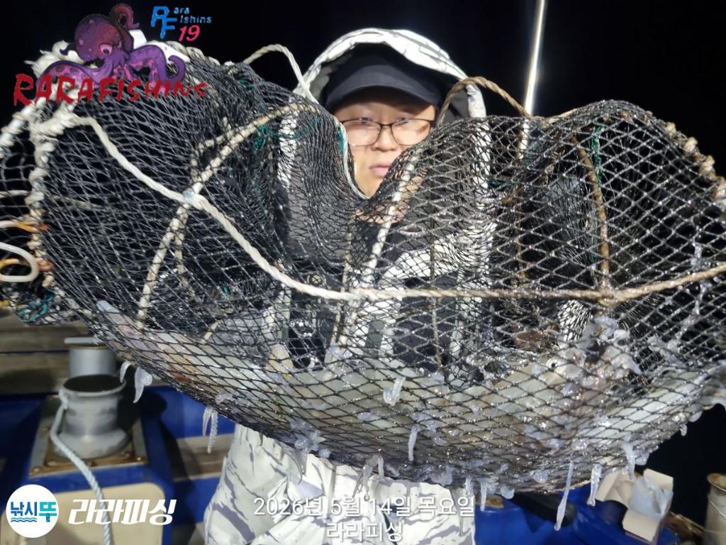 낚시뚜,호래기,속천항(진해),라라피싱,낚시뚜13