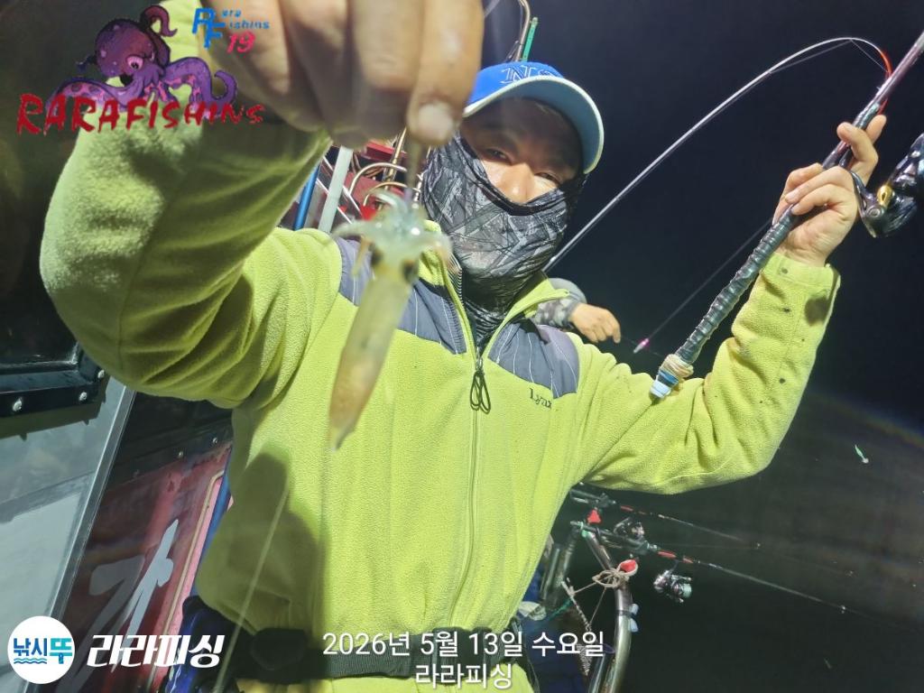 낚시뚜,호래기,속천항(진해),라라피싱,낚시뚜11