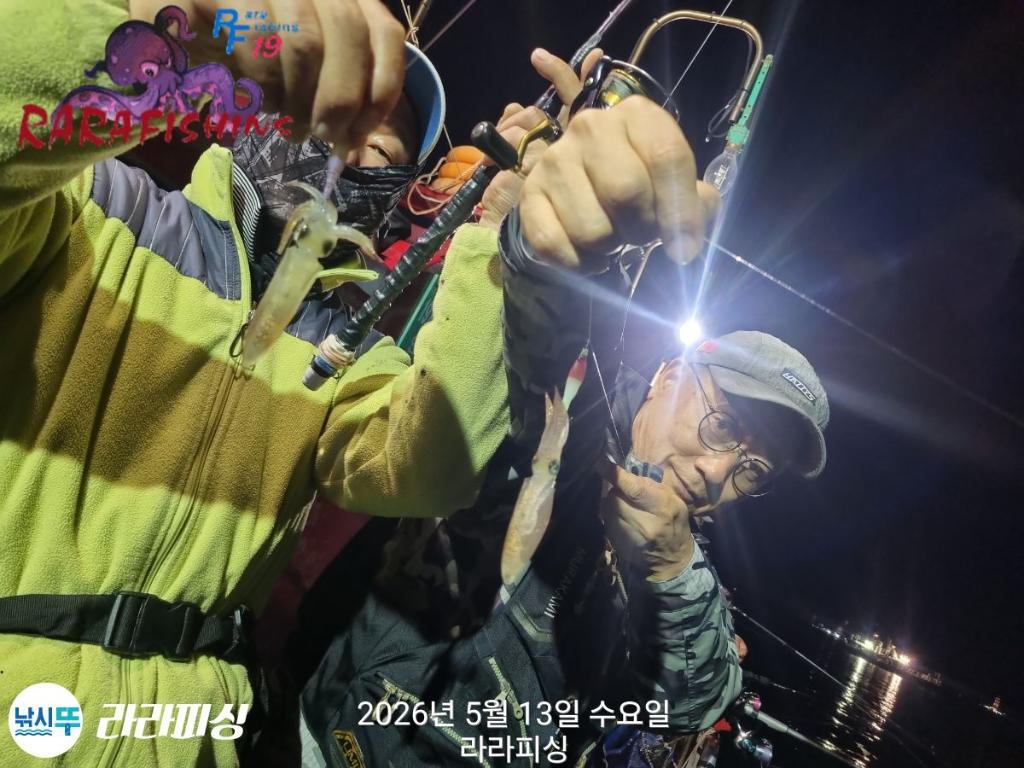 낚시뚜,호래기,속천항(진해),라라피싱,낚시뚜4