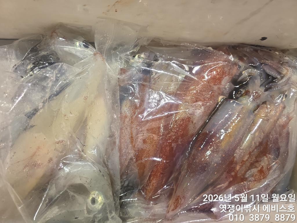 낚시뚜,기타 (직접입력),삼포항,엿쟁이낚시,낚시뚜30