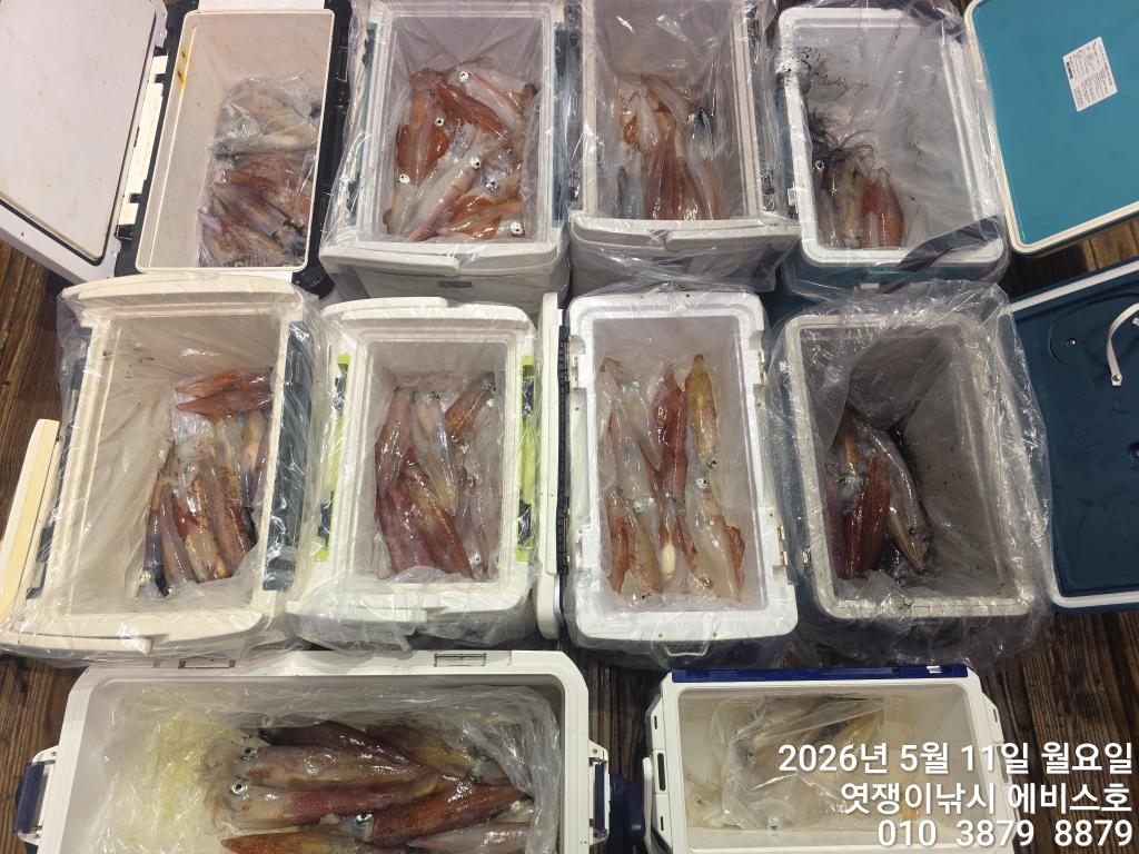 낚시뚜,기타 (직접입력),삼포항,엿쟁이낚시,낚시뚜33