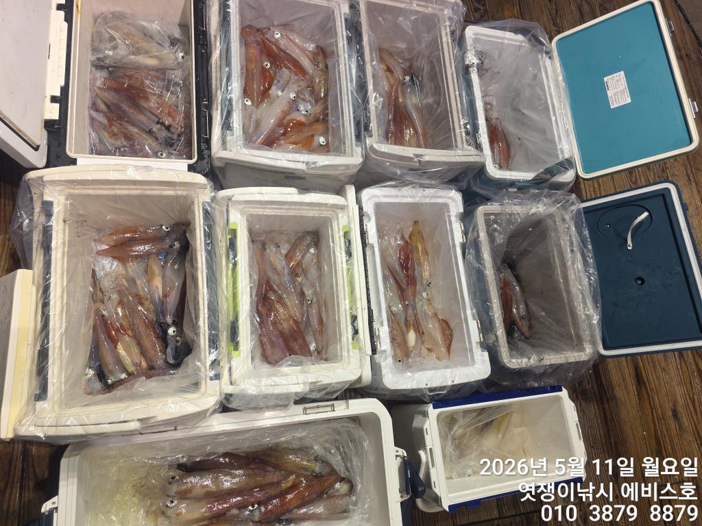낚시뚜,기타 (직접입력),삼포항,엿쟁이낚시,낚시뚜35