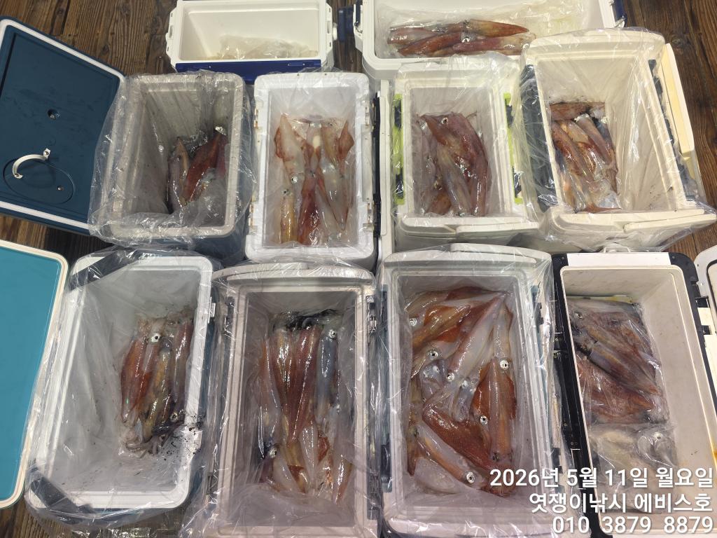 낚시뚜,기타 (직접입력),삼포항,엿쟁이낚시,낚시뚜37