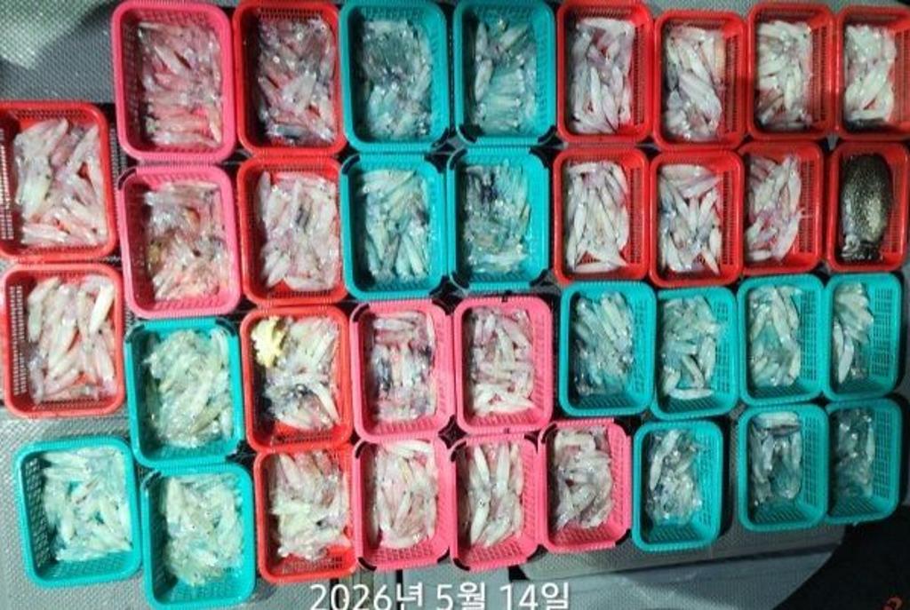 낚시뚜,호래기,속천항(진해),바루나피싱,낚시뚜7