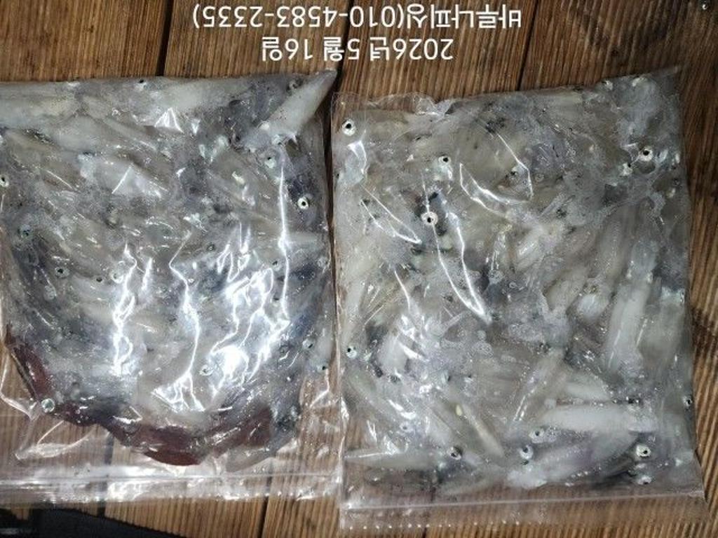낚시뚜,호래기,속천항(진해),바루나피싱,낚시뚜4