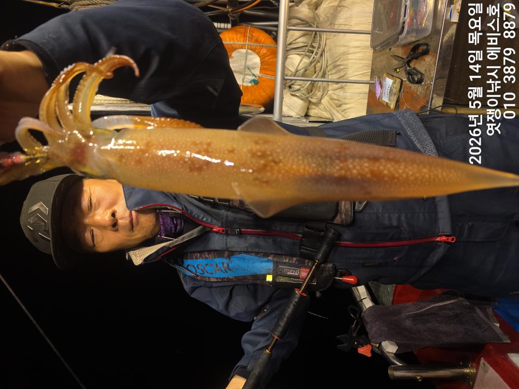 낚시뚜,기타 (직접입력),삼포항,엿쟁이낚시,낚시뚜25