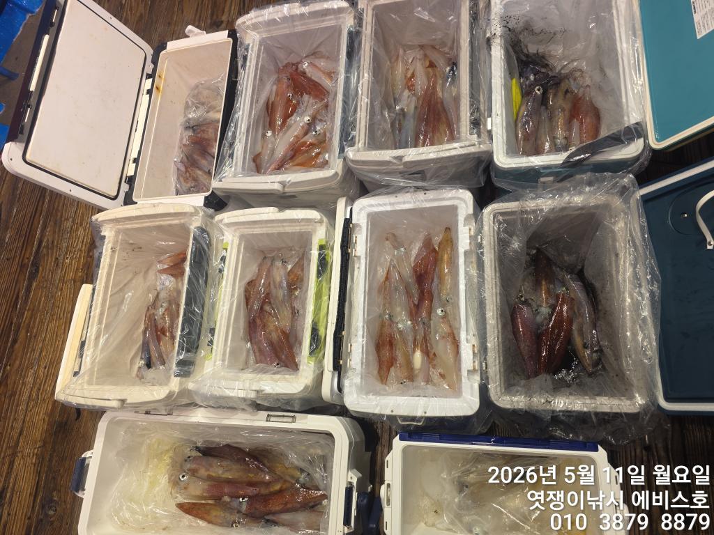 낚시뚜,기타 (직접입력),삼포항,엿쟁이낚시,낚시뚜52